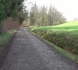 Gomaringer Rundweg - Zu den Giganten im Wald