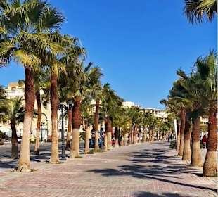 Stadtrundgang Sahl Hashees