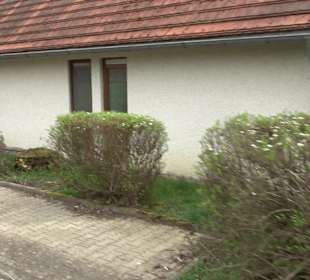 Friedhof Suppingen