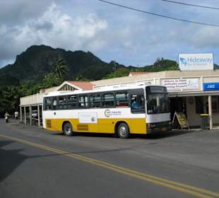 Inselbus