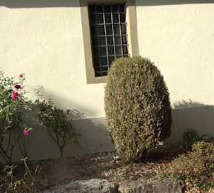 Bitte beschreiben Sie, was auf Ihren Bildern zu se