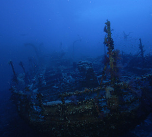 Safari North - Wracktour 2014