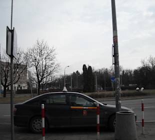 Plac Wilsona