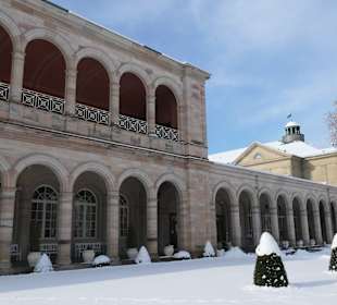Januar 2026 im Kurpark von Bad Kissingen