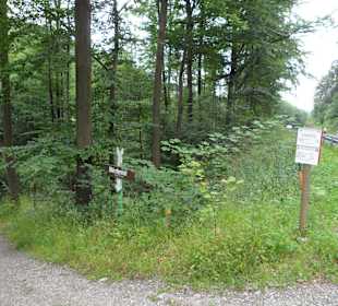 Der Weg zum Märchental