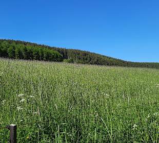 Wandern Lennestadt