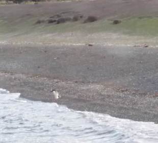 Bootsfahrt Beaglekanal