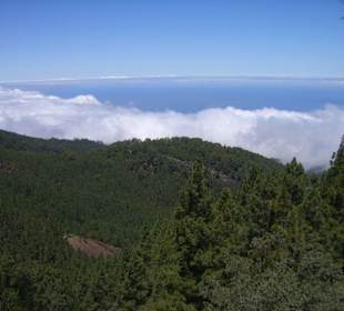 parc National del teide