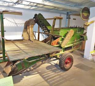 Kartoffelernste im Freilichtmuseum