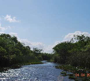 In den Everglades