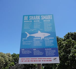 Warnschild für Surfer / Schwimmer  "Haie"