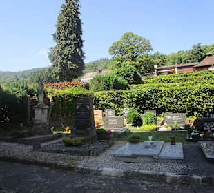  Dornröschen-Rundwanderweg