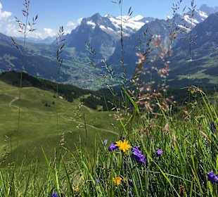 Traumhafte Wanderwege