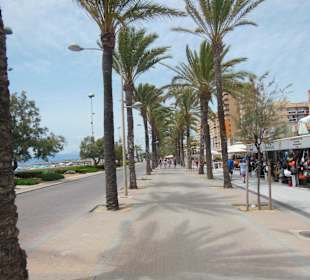 Strandpromenade mit Palmen
