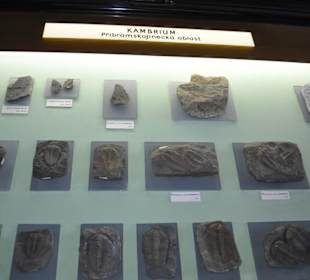 Národní muzeum
