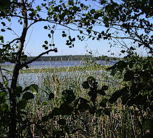 Priesterbäker See