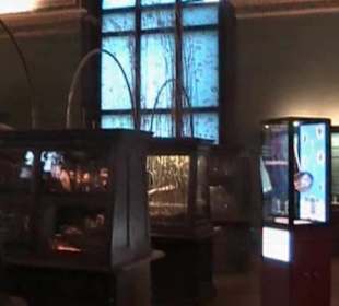 Naturhistorisches Museum