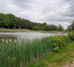 Seewoog in Ramstein-Miesenbach