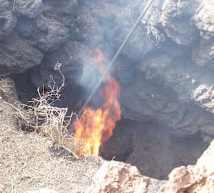 Unterirdische Vulkanhitze entzünden trockenes Holz