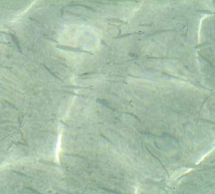 Klares warmes Wasser