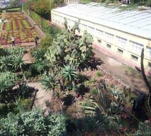 Botanischer Garten