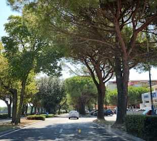 Hauptstrasse nach Bibi