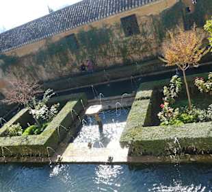 Dettaglio del giardino