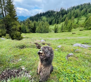 Wandern Schladming