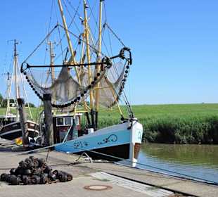 Eindrücke vom Kutterhafen Spieka-Neufeld