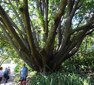 Stadtrundgang Sydney