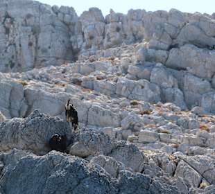 Schifffahrt 3 Insel Tour Kos