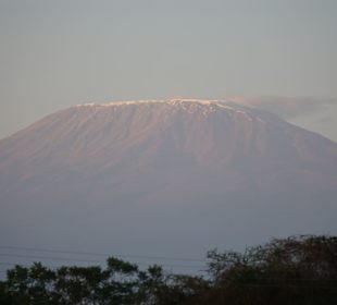 Kilimandscharo
