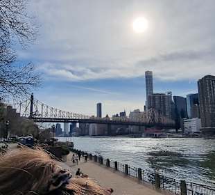Roosevelt Island