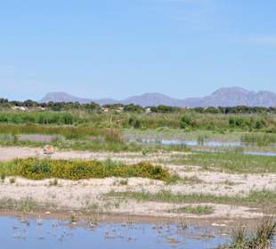 Naturpark S'Albufera
