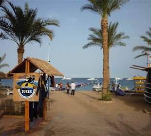 SUBEX Tauchcenter Strand Sharm El Sheikh  Ägypten