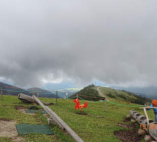 Wankberggipfel