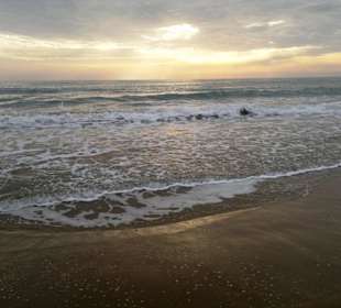Ende November 2012