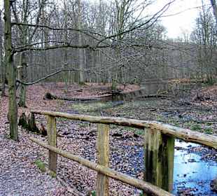 Naturpark Wildwald bei Arnsberg