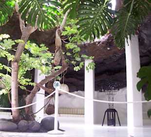Terrasse mit Felsüberdachung
