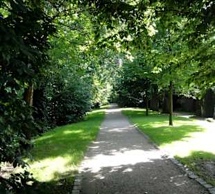 Spaziergang über den Stadtwall Wildeshausen