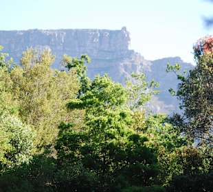 Tafelberg