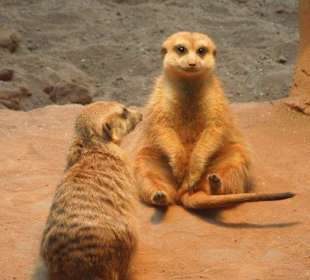 Zoopark Erfurt