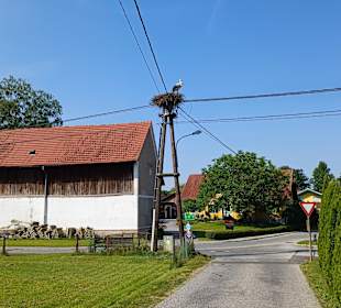 Storchennest in Großklein