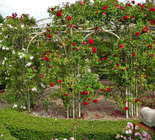 Eindrücke vom Rundgang durch den Park der Gärten