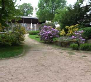 Kurpark Freudenstadt