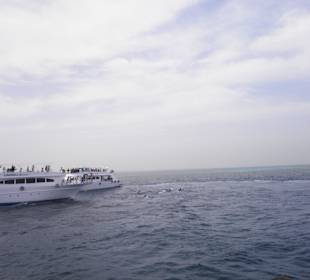 Schnorcheltour