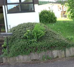Evangelisch-methodistische Kirche Klosterreichenba