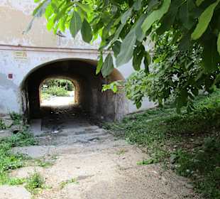 Cetatuia Park