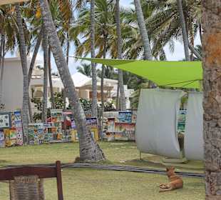 Ein Besuch beim Tropical Treasure