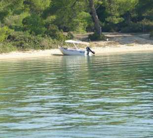 So sehen die Boote aus